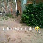 Me da adm q eu to bad