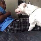 This dog definitely could have killed her if they wanted to.