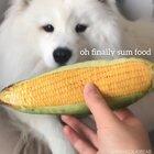 Maya gets bamboozled