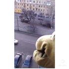 ThIS EnRaGeD BeAsT wILl DEvOUR US