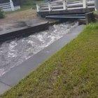 These strangers joined forces to save this doggo in Florida. Bravo, humans.