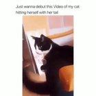 Self inflicted knockout