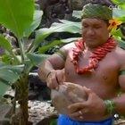 this is Kap from the polynesian culture center in oahu