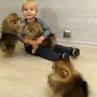 Pure happiness doesn't ex-