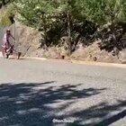 Gravity is only a suggestion.