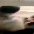 non so se è gia stato postato