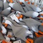 Do I even need a title at this point?