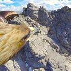 A bird’s eye view of the Alps