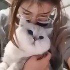 Cats seem to understand mirrors after all