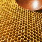 Scooping honeycomb