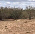 Rethinking life choices.