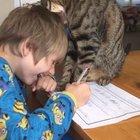 My nephew had the best interruption while trying to do his homework