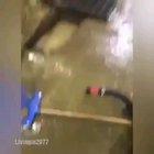 Why tempt fate like that?