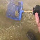 Never juggle a phone near a sewer hole