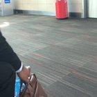 Maybe she should have waited until she got to Vegas to start partying...