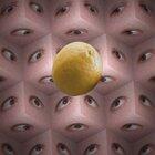 Eating a Sacred Lemon [OC]