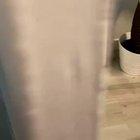 Sent her to the gulag