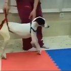 Don’t call it comeback