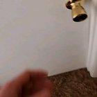 Never forget the Alamo!