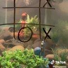 I can't even imagine