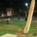 To escape cops while drunk as fuck