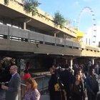 I think we all dream of being this damn cool.