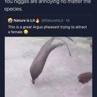 Can I get your number?