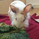 Getting viciously attacked while filming