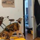 Ну что с него взять ?