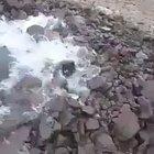 Another glitch in the Matrix. Time for an update.