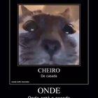 Me diga onde está a casada