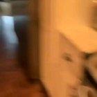 Whomst has summoned him...