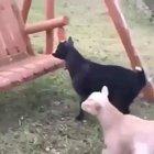 Well, that didn't go as planned