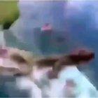 Who wants a rope swing