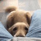 I'm In Love With You