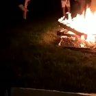 To jump over fire