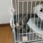 How not to contain liquids