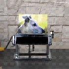 Dog in a noodle maker