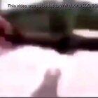 Mis posts no son visibles en r/mauu mejor dejo esto aki dónde si aprecian 👌😔