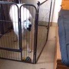 Talk smack now, bitch