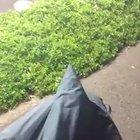 Unit Tests: Successful. Application: Failure