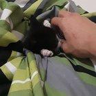 She kept resisting arrest