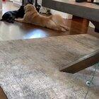 Let me just clap deez real quick