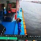 Sitting in the dock at the bay