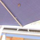 Vicious vampire bat attack caught on camera