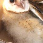 It’s soo cuteeewHOLYFUCK