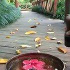 This Chinese dancing water bowl