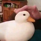 I still smile whenever I watch this video