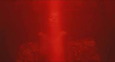 Sydney Sweeney loves showing off her big natural tits