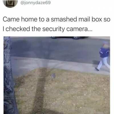 Mailman goes brrrr